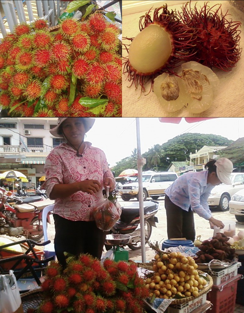 Collage rambutan