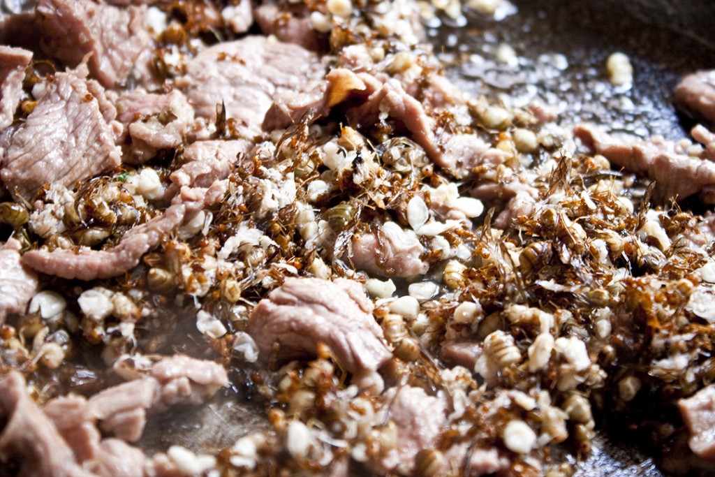 Stir fried beef with tree ants