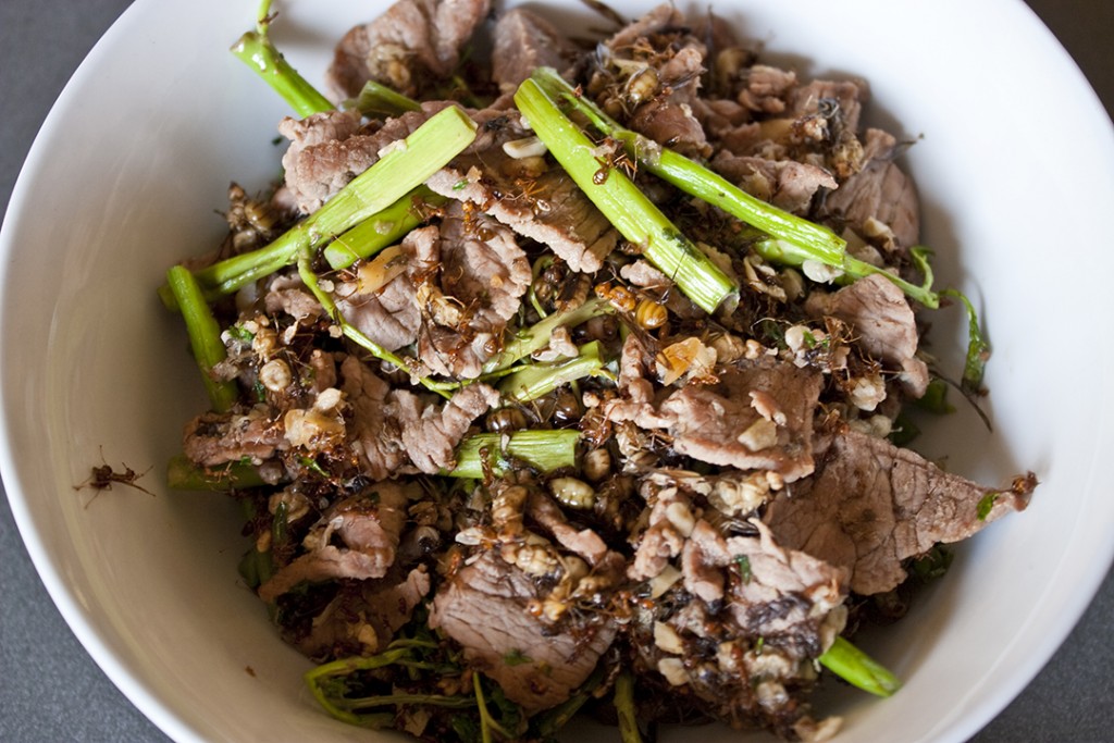 Stir fried beef with tree ants