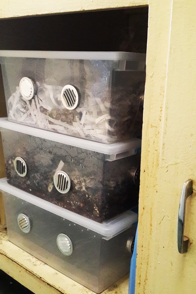 I don't currently have all bins set up, but working up to three, under the sink.